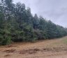Vilniaus r. sav., Tribilų k., žemės ūkio, miškų ūkio paskirties sklypas-0