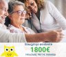 Slaugytojo asistentė Vokietija-0