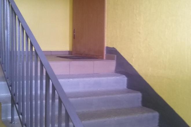 DAŽOME LAIPTINES IR KITAS PATALPAS-0