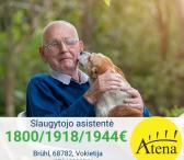 Slaugytojo asistentė Vokietija-0