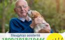Slaugytojo asistentė Vokietija-0