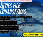 DARBAS ZUVIES FABRIKE PRANCUZIJOJE - FILE ISPJAUSTYMAS-0