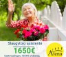 Slaugytojo asistentė Vokietija-0
