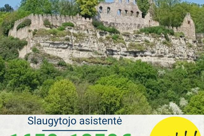 Slaugytojo asistentė Vokietija-0