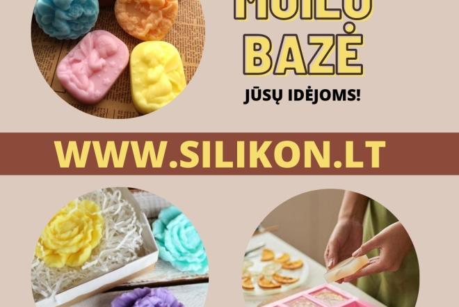 Muilo bazė-0