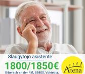 Slaugytojo asistentė Vokietija-0