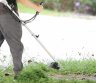 Atraskite tobulą veja su mano trimerio paslauga.-0