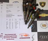 Kuro purkštukai Citroen-C4.0445110340-0