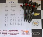 Kuro purkštukai Renault-Grand Scenic. 0445110110-0
