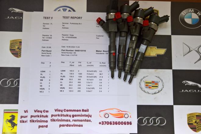 Kuro purkštukai Renault-Scenic. 0445110110-0