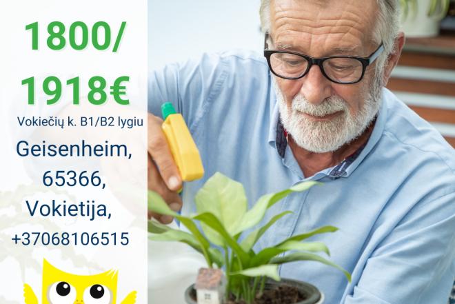 Slaugytojo asistentė Vokietija-0