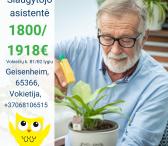 Slaugytojo asistentė Vokietija-0