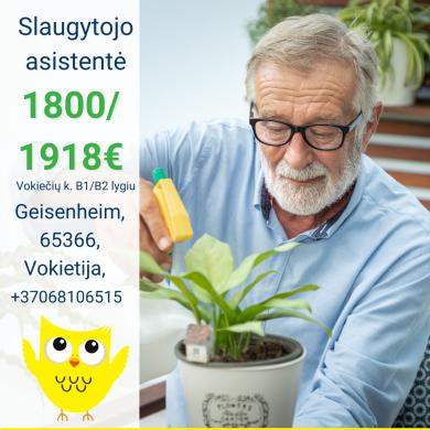 Slaugytojo asistentė Vokietija-0