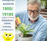 Slaugytojo asistentė Vokietija-0
