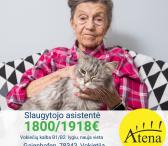 Saugytojos asistentė Vokietijoje-0