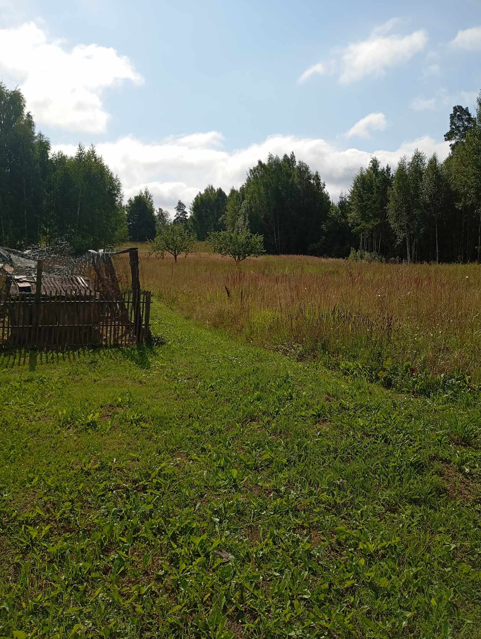 Parduodamas namas su 5 ha žemės ir 1,4 ha miško-0