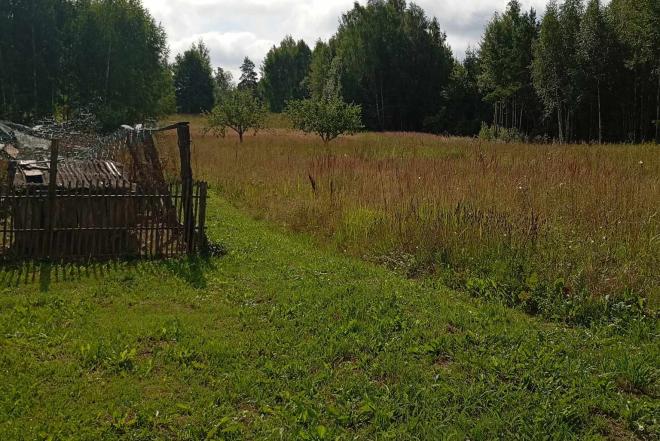 Parduodamas namas su 5 ha žemės ir 1,4 ha miško-0