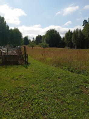 Parduodamas namas su 5 ha žemės ir 1,4 ha miško-0