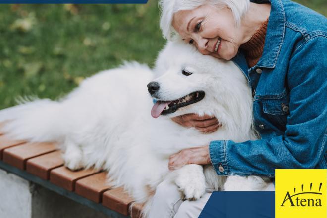 Slaugytojo asistente Vokietija-0