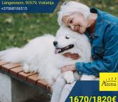 Slaugytojo asistente Vokietija-0