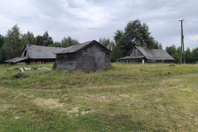 Parduodama sodyba Alytaus r. Butrimonių sen. Beržinės k.-0