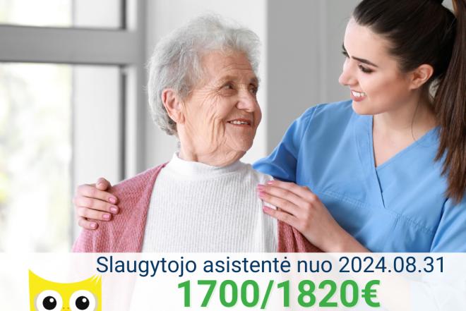 Slaugytojo asistentė Vokietijoje-0