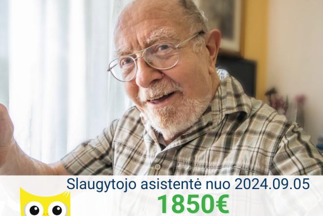 Slaugytojo asistentė Vokietijoje-0