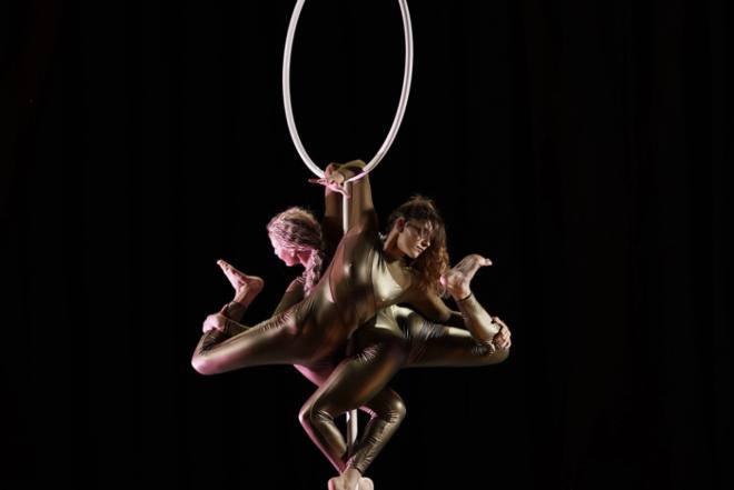 Pole dance šou ir oro akrobatikos pasirodymai-0