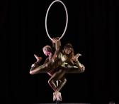 Pole dance šou ir oro akrobatikos pasirodymai-0