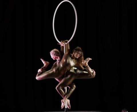 Pole dance šou ir oro akrobatikos pasirodymai-0