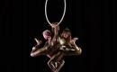 Pole dance šou ir oro akrobatikos pasirodymai-0