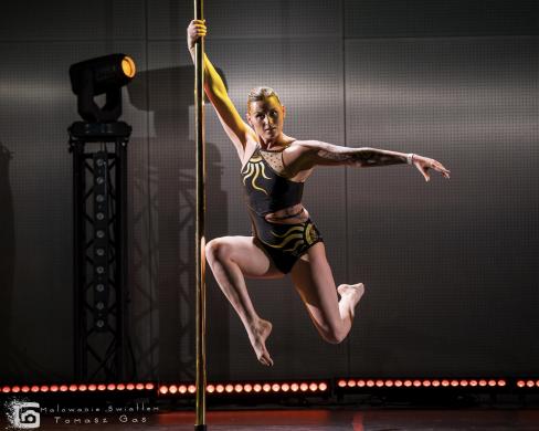 Pole dance šou ir oro akrobatikos pasirodymai-0
