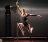Pole dance šou ir oro akrobatikos pasirodymai-0