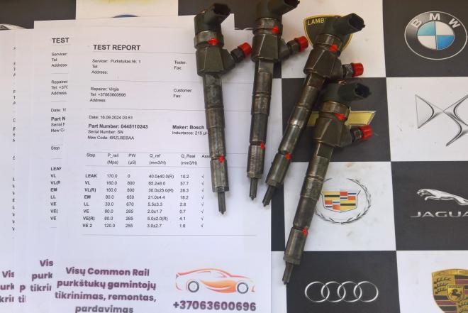 Kuro purkštukai Opel-Vectra. 0445110243-0