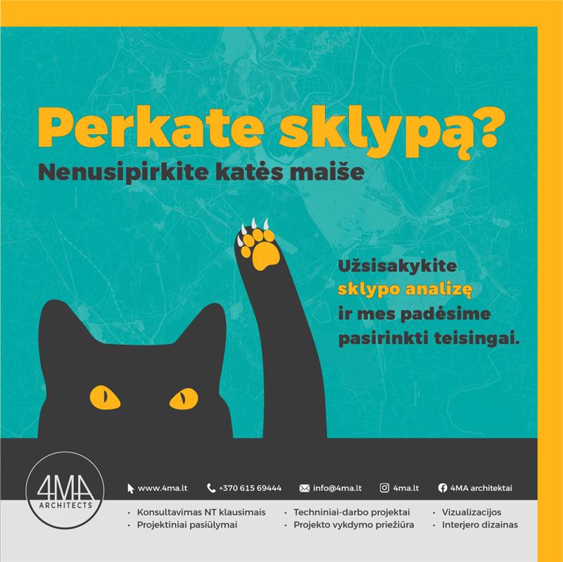 Statybos sklype galimybių studija - SKLYPO ANALIZĖ-0