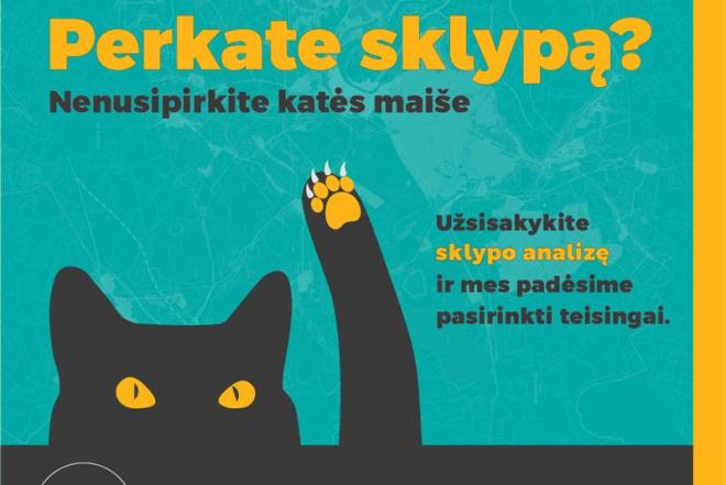 Statybos sklype galimybių studija - SKLYPO ANALIZĖ-0