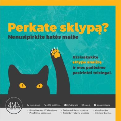 Statybos sklype galimybių studija - SKLYPO ANALIZĖ-0