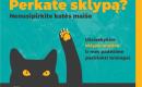 Statybos sklype galimybių studija - SKLYPO ANALIZĖ-0