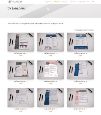 CV šablonai, redagavimo ir vertinimo paslaugos-3