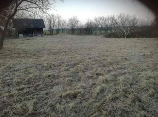 Kriaučiūnų sodyba-2