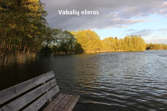 Parduodamas sklypas 30 arų prie Vabalių Ežero Alytaus raj.-3