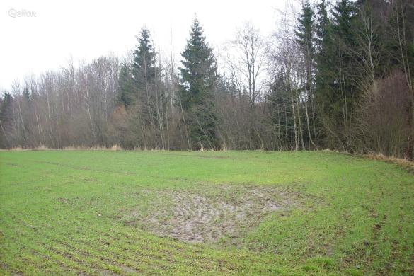 700 A SKLYPAS ŠIAULIŲ R. SAV., NIKANČIAI-3