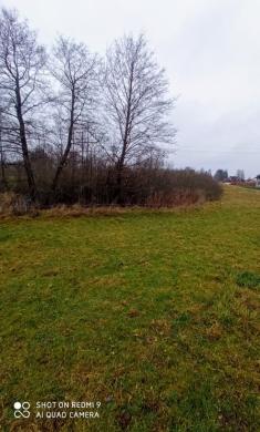 Žemės sklypai Takniškių k., Alovės sen., Alytaus r.  sav.-3
