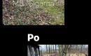 Ekskavatoriaus paskaugos!-2