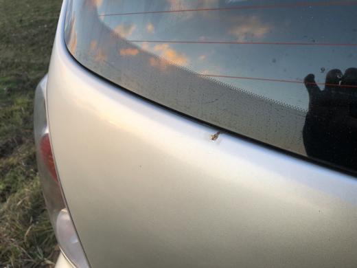 Toyota Corolla Verso 2005-2
