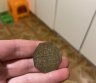 LK KAREIVIO ŽETONAS 4 TO D.L.K MINDAUGO P. RETENYBE-0