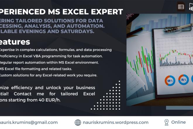 MS Excel expert is looking for a fully remote part-time job-0