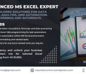 MS Excel expert is looking for a fully remote part-time job-0
