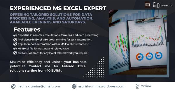 MS Excel expert is looking for a fully remote part-time job-0