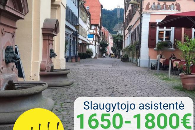 Slaugytojo asistentė Vokietija-0